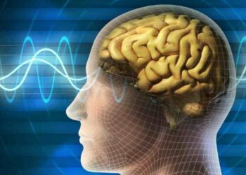 İnsan beyninin sıcaklığını hiç merak ettiniz mi?