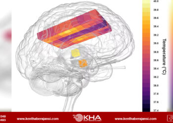 İnsan beynin sıcaklığı 40 dereceye kadar çıkabiliyor!