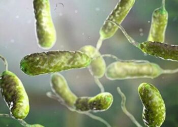 Et yiyen bakteri ülkeyi alarma geçirdi!