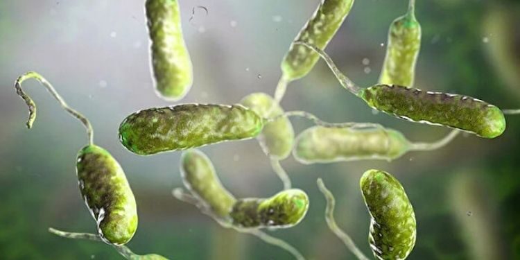 Et yiyen bakteri ülkeyi alarma geçirdi!