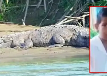 8 yaşındaki çocuk timsaha yem oldu!