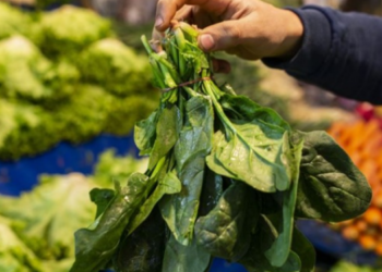 Zehirli ıspanak alarmı!