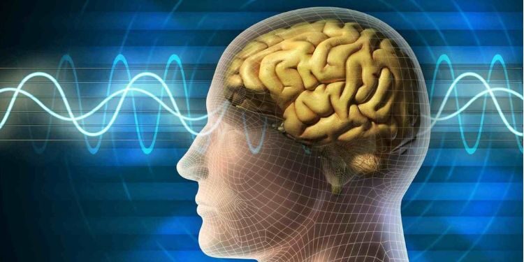 İnsan beyninin sıcaklığını hiç merak ettiniz mi?