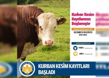 SULTANBEYLİ’DE KURBAN KESİM KAYITLARI BAŞLADI