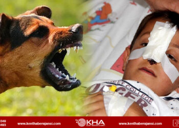 Ali Asaf’tan acı haber!