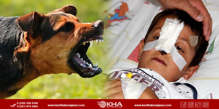 Ali Asaf’tan acı haber!