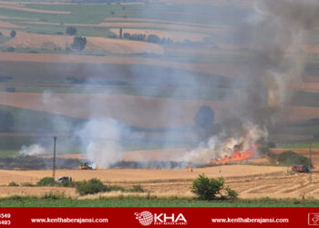 Buğday tarlası küle döndü!
