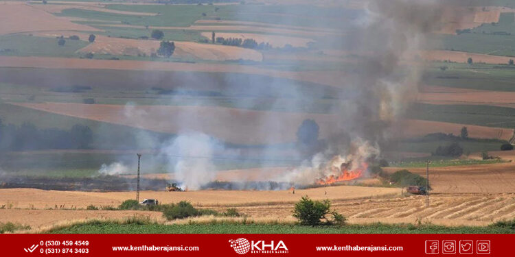 Buğday tarlası küle döndü!
