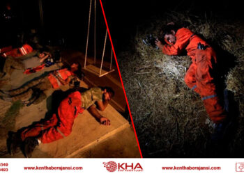 Orman Kahramanları Yerde Dinlendiler!