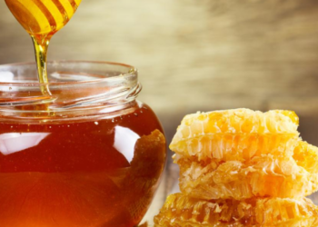 BAL İHRACATINDA YENİ REKOR