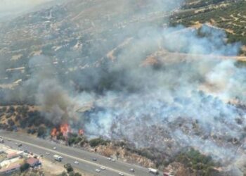 İzmir’de makilik alanda yangın