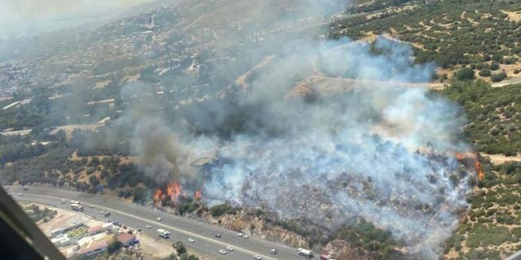 İzmir’de makilik alanda yangın