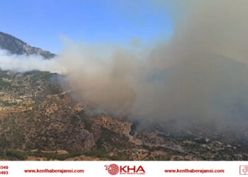 Datça’da orman yangını!