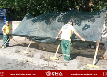 Sultanbeyli Belediyesi Dut Ağaçlarının Altına File Koydu