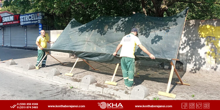 Sultanbeyli Belediyesi Dut Ağaçlarının Altına File Koydu