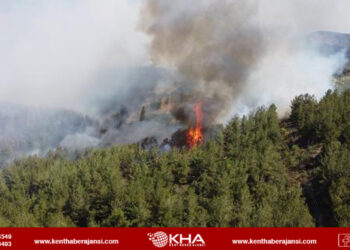 İzmir’de orman yangını!