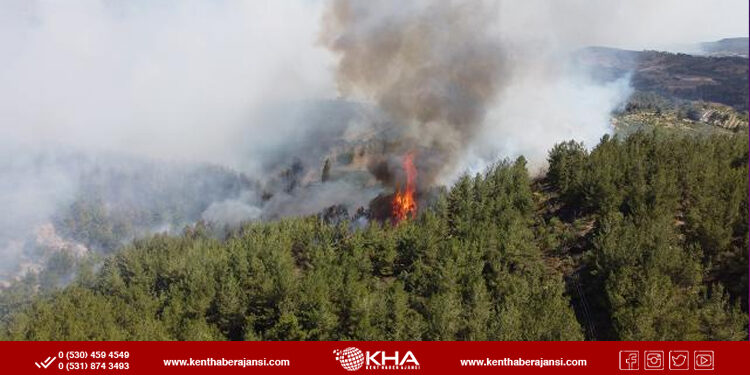 İzmir’de orman yangını!