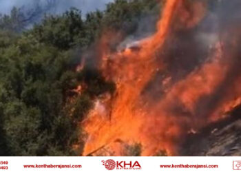 İzmir’de iki ayrı noktada yangın!