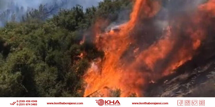 İzmir’de iki ayrı noktada yangın!