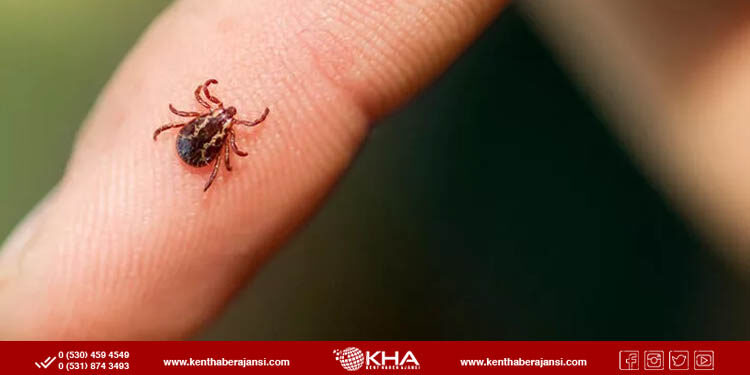 Sivas’ta kene nedeniyle bir ölüm