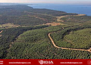 81 İlde Ormanlara Giriş Yasağı!