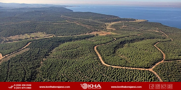 81 İlde Ormanlara Giriş Yasağı!