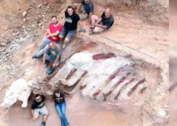 En büyük dinozor iskeleti bulundu