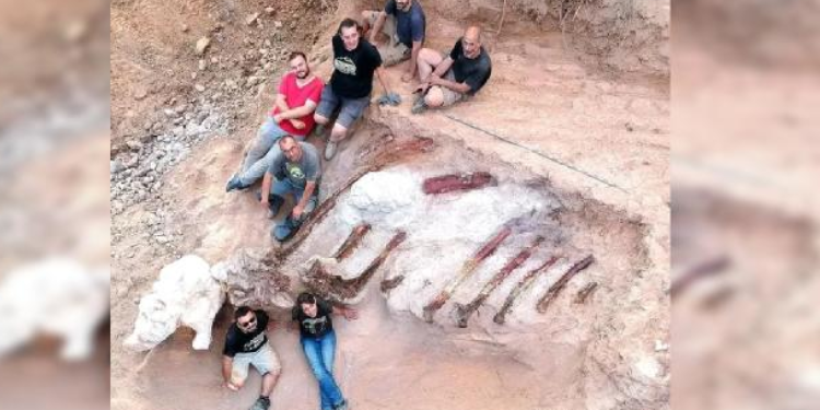En büyük dinozor iskeleti bulundu