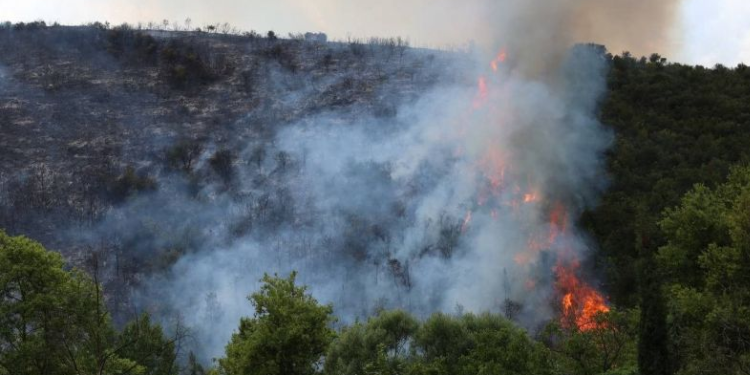 Kocaeli’de orman yangını