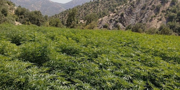 Diyarbakır’da Terörün Finansman Kaynağı Ablukaya Alındı