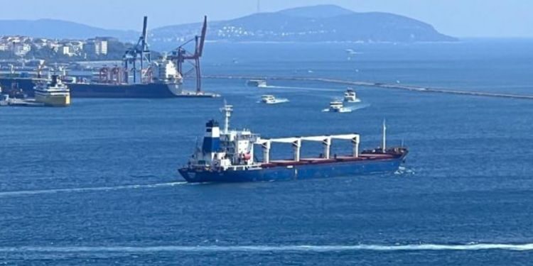 Ukrayna’dan 2 tahıl gemisi daha yola çıktı