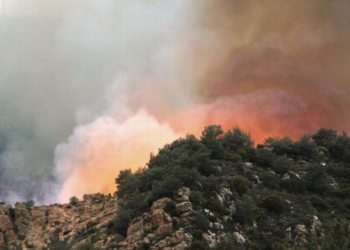 Mersin’de orman yangını