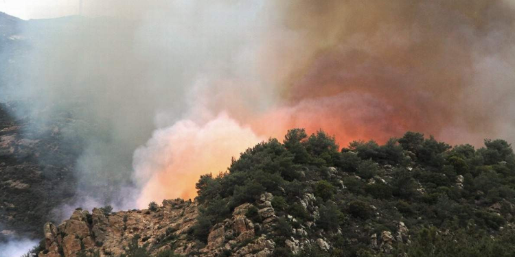 Mersin’de orman yangını
