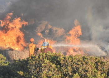 Muğla’da orman yangınına müdahale sürüyor