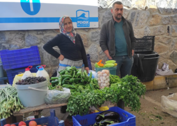 Pendik’te hasat edilen sebzeler satışa sunuldu