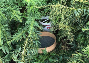 PKK’nın finans kaynağına darbe!