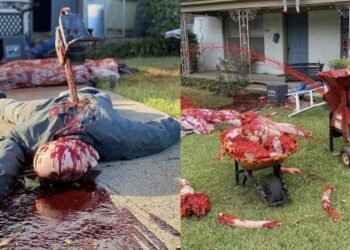 Teksaslı sanatçının evi adeta ceset yığınına döndü!