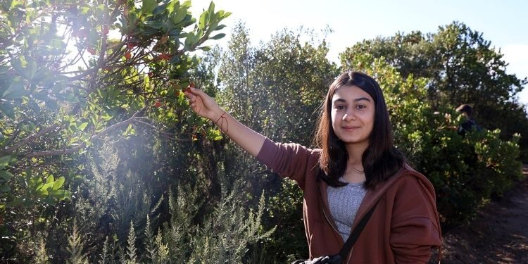 Ataşehirliler Dağ Çileği Etkinliğinde Buluştu