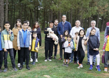 Sevimli Patiler Kliniği Minik Canların Her Zaman Yanında