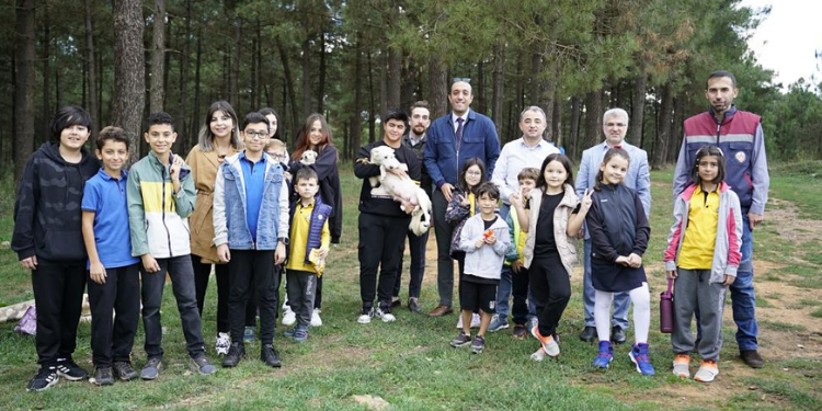 Sevimli Patiler Kliniği Minik Canların Her Zaman Yanında