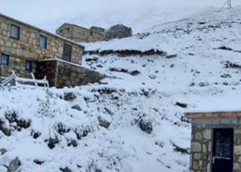 Artvin’e ilk kar düştü!