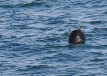 Kırklareli’de mayın tespit edildi