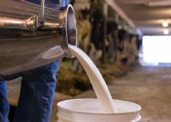 Çiğ süte zam: Fiyatlar yüzde 13,3 arttı!