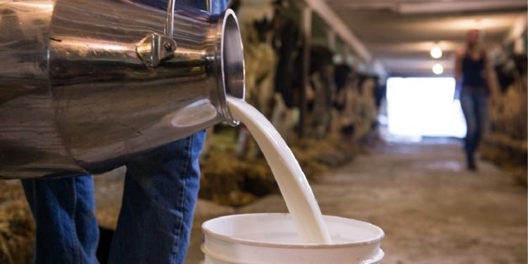 Çiğ süte zam: Fiyatlar yüzde 13,3 arttı!