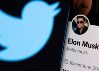 Musk Mavisi 8 dolara alınabilecek!