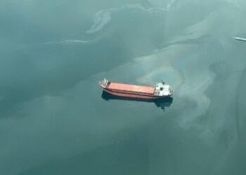 Körfezi kirleten gemiye 4 milyon 176 bin lira ceza!