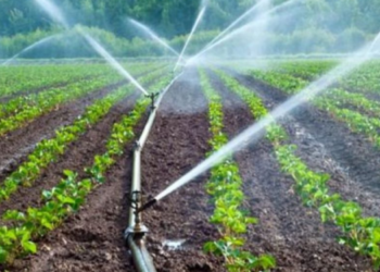 Tarımda yeni dönem: Suya göre planlama başlıyor!