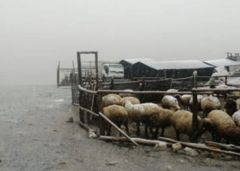Antalya’da kar yağışı etkili oluyor