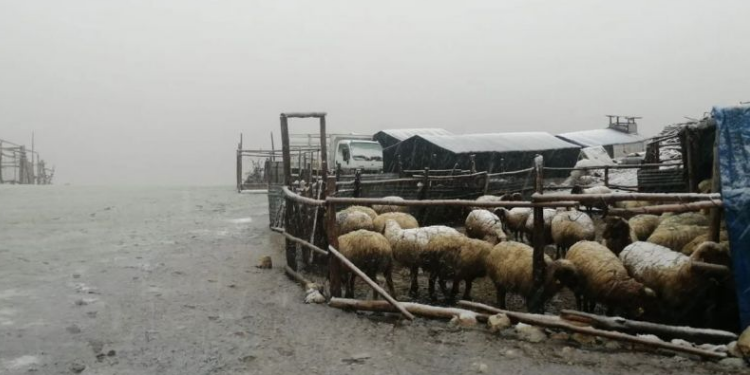 Antalya’da kar yağışı etkili oluyor