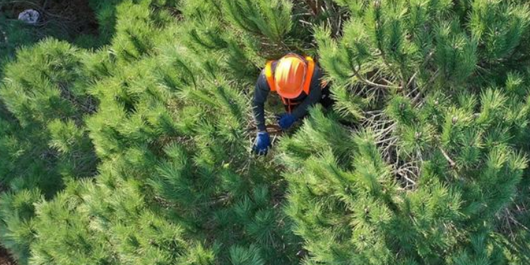 Tarım ve Orman Bakanlığı personel alımı şartları neler?
